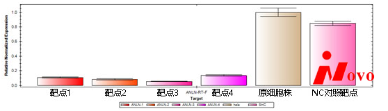 检测结果1.png