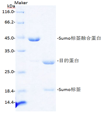 微信图片_20250829154040_52.png